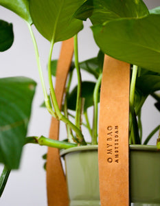 Plant Pot Hanger/Hängare till kruka