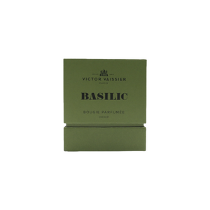 Doftljus Basilic