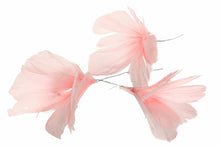 Ladda upp bild till gallerivisning, Fjädrar Tråd blom Magnolia
