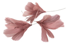 Ladda upp bild till gallerivisning, Fjädrar Tråd blom Magnolia
